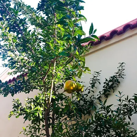 Loriano Pensjonat Marcianise